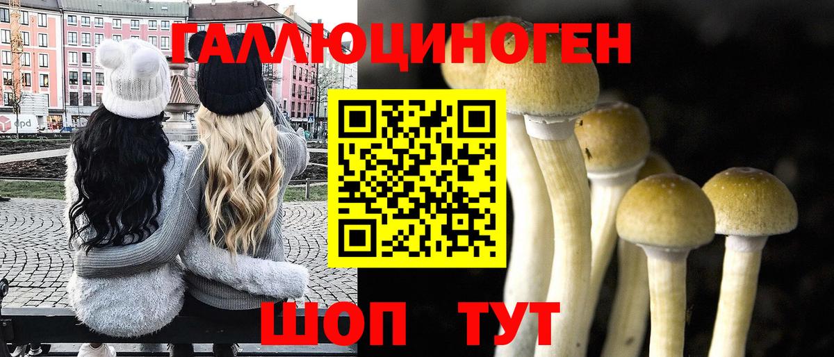 Псилоцибиновые грибы Cubensis Магнитогорск